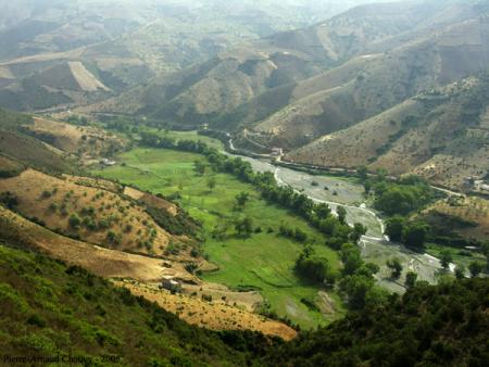 Cannabis Valle